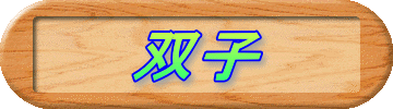 双子