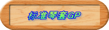 标准琴套GP